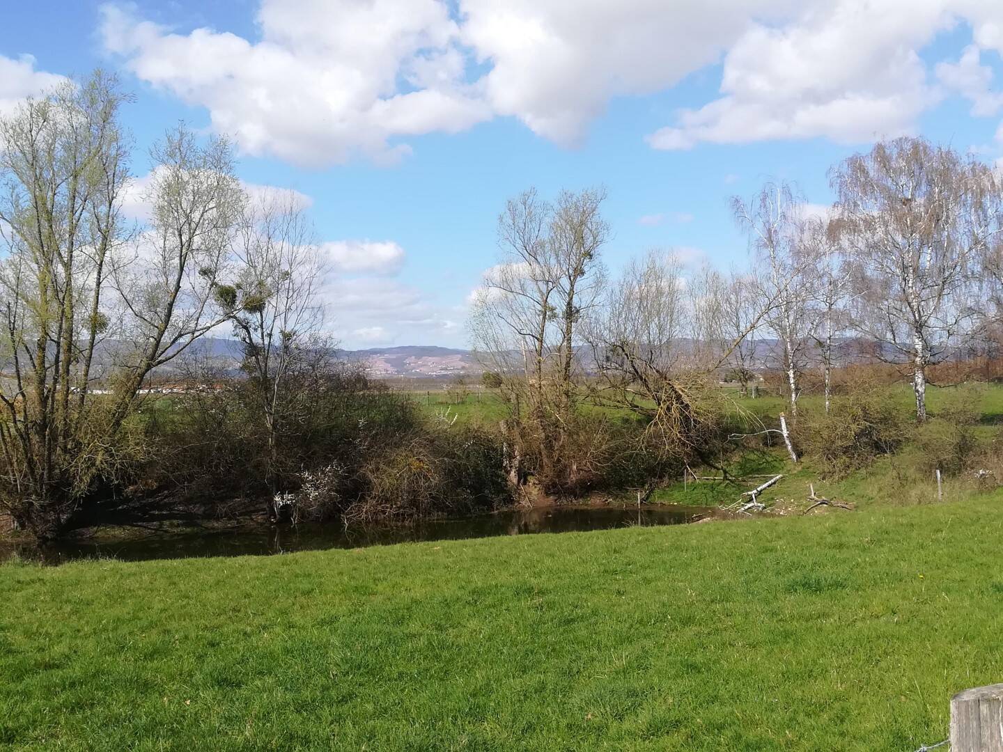 Maison à vendre, 399m², SAINT DIDIER SUR CHALARONNE