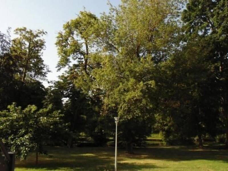 Maison à louer, 57m², LE MEE SUR SEINE