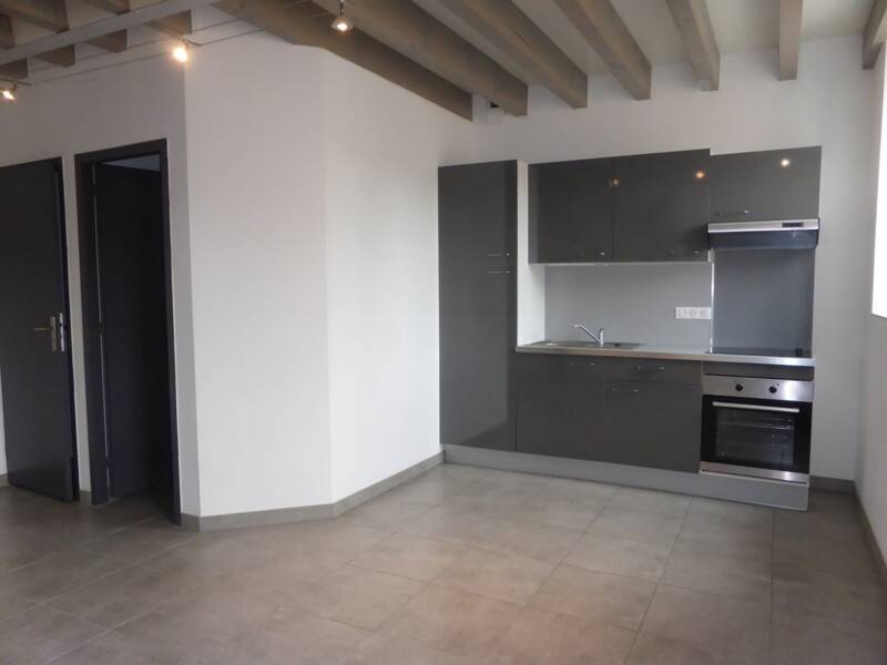 Maison à louer, 56m², THURINS