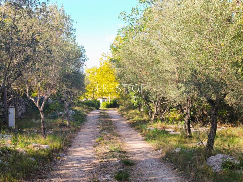 Maison à vendre, 248m², VIOLS LE FORT