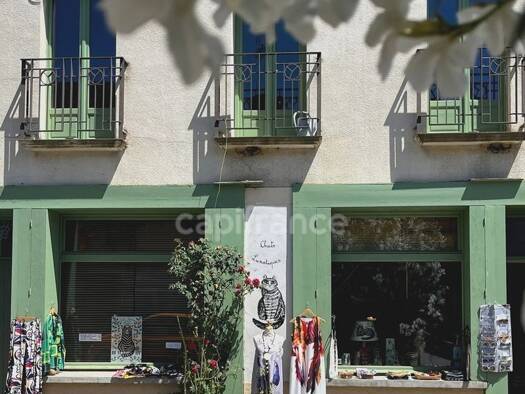 Maison à vendre 249 000 € 10 pièces 8 chambres 270 m² 331 m² de terrain Bassoues 32320