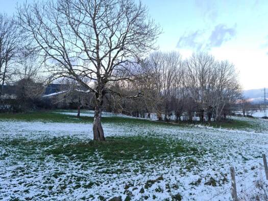 Terrain constructible à vendre 171 720 € 4 035 m² de terrain Rochefort-Montagne 63210