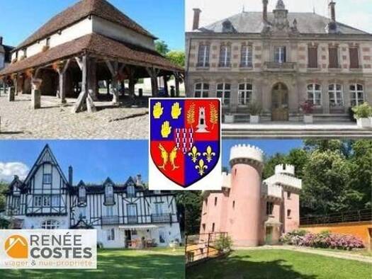 Maison en viager occupé Bouquet 46 530 € 5 pièces 5 chambres 120 m² 1 664 m² de terrain Blanchard Château-Thierry 02400