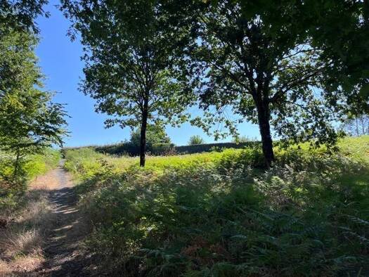 Terrain constructible viabilisé à vendre 69 000 € 2 067 m² de terrain Rion-des-Landes 40370