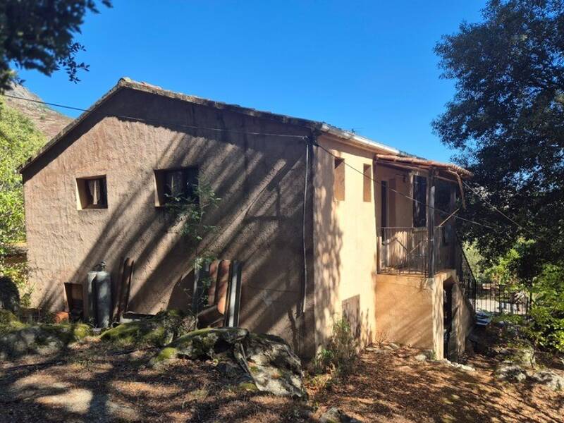 Maison à vendre, 208m², CORTE