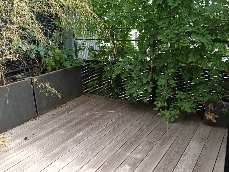 Maison à louer, 68m², STRASBOURG