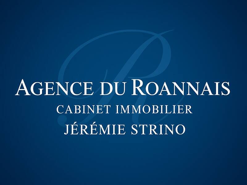 Maison à vendre, 249m², RIORGES