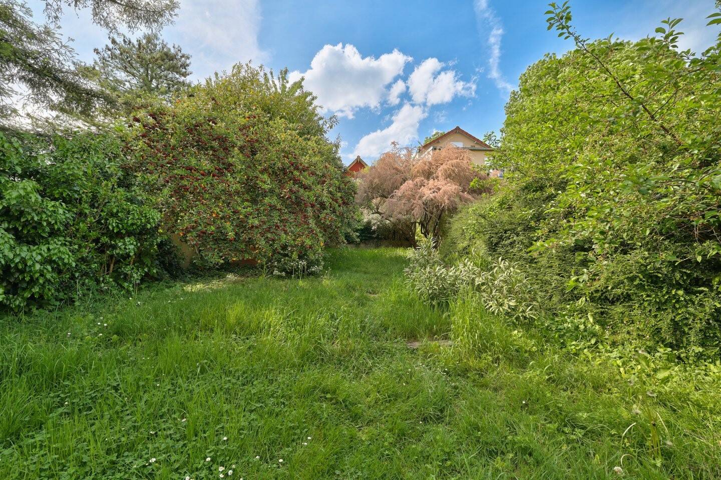 Maison à vendre, 115m², SEVRES