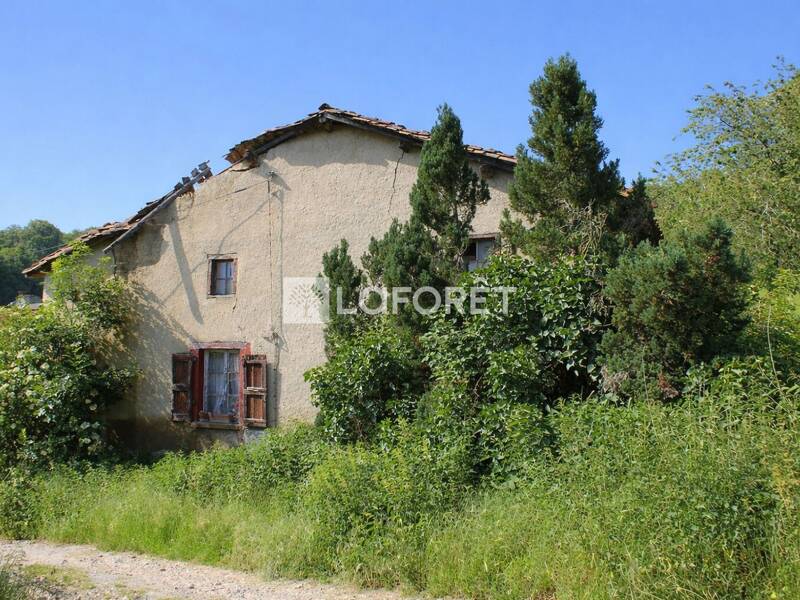 Maison à vendre, 130m², SAINT SYMPHORIEN SUR COISE