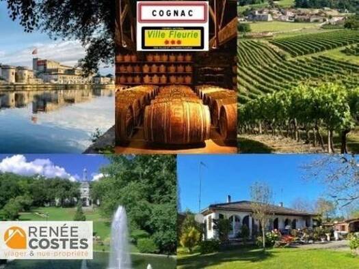 Maison en viager occupé Bouquet 47 100 € 5 pièces 3 chambres 107 m² 4 965 m² de terrain Crouin Cognac 16100