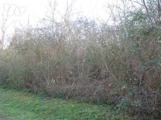 Terrain constructible à vendre 23 000 € 733 m² de terrain Gy-les-Nonains 45220