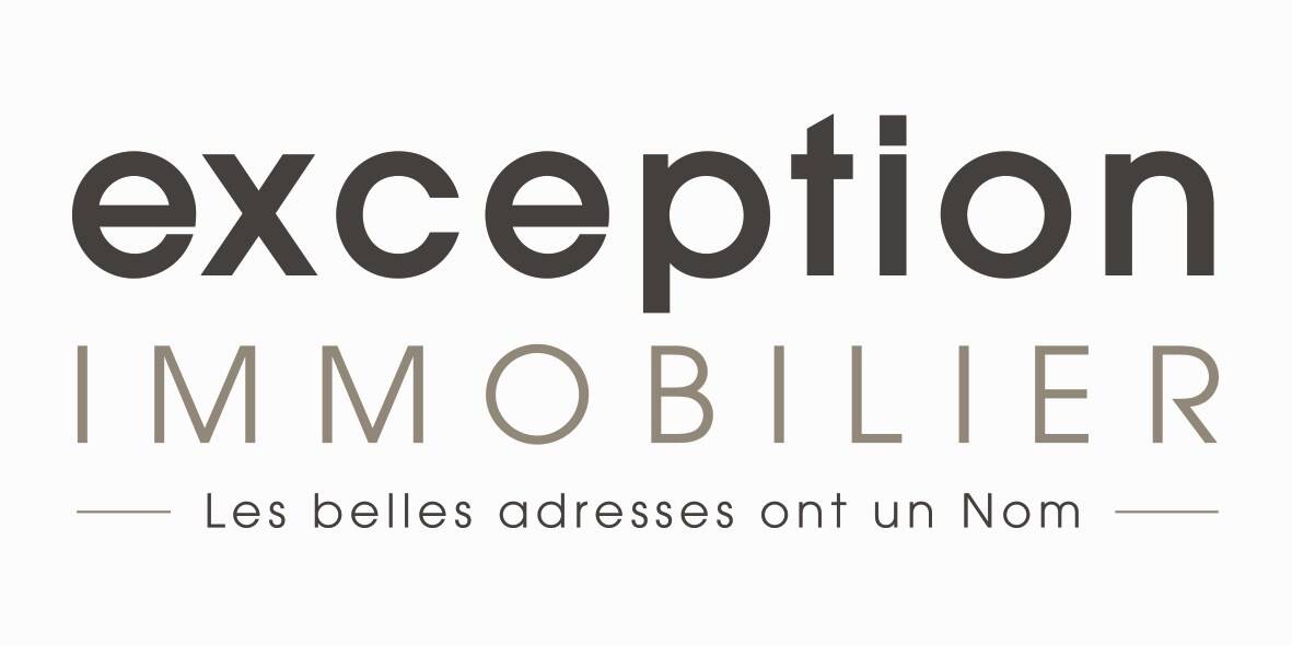 EXCEPTION IMMOBILIER