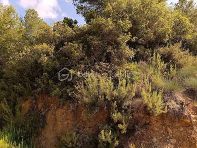 Terrain à vendre 4 700 € 3 170 m² de terrain Tautavel 66720