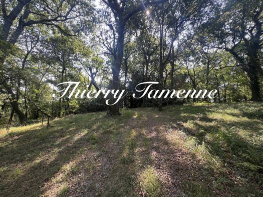 Terrain à vendre 55 000 € 85 369 m² de terrain Bérenx 64300