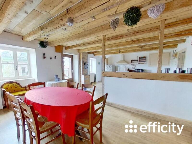 Maison à vendre, 170m², SAINT VINCENT DE REINS