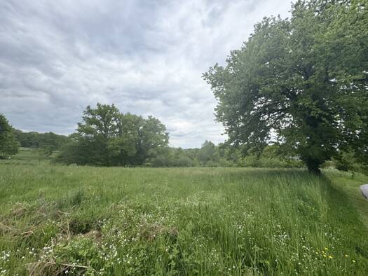 Terrain constructible à vendre 66 000 € 2 688 m² de terrain Liginiac 19160