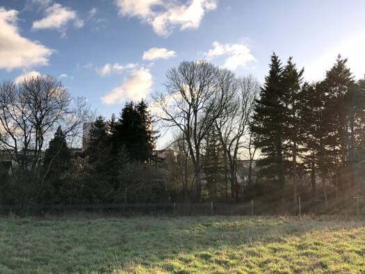 Terrain constructible à vendre 77 500 € 385 m² de terrain Quartier du Centre Le Mans 72000