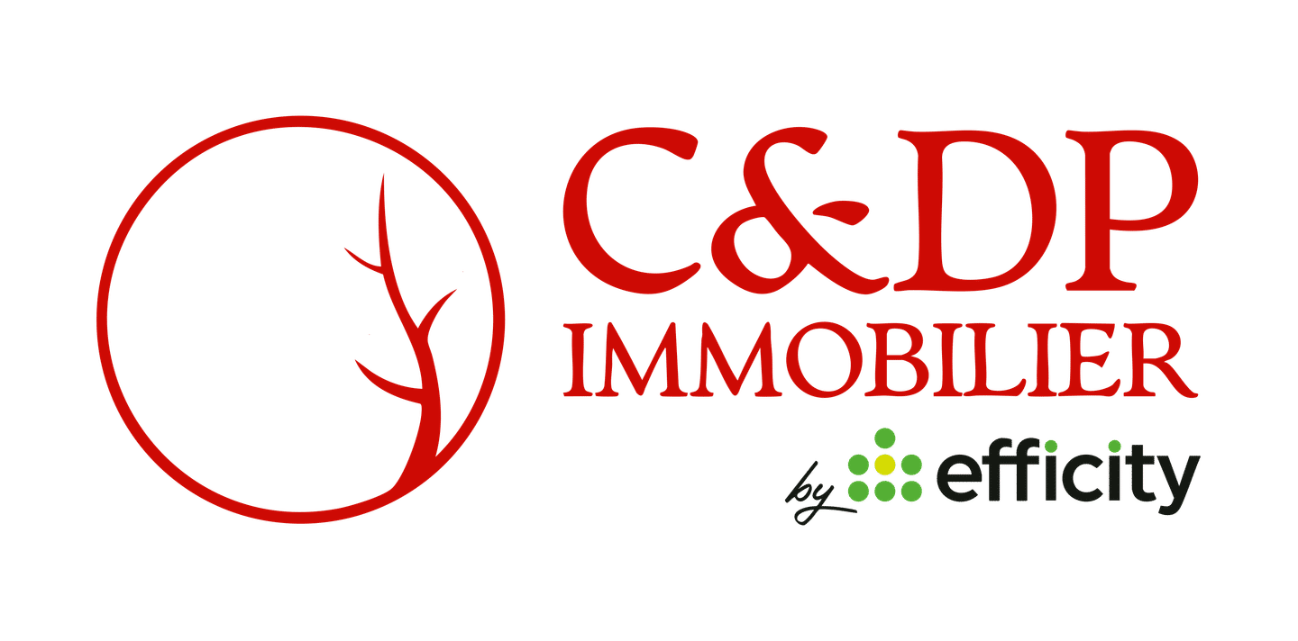 C et DP IMMOBILIER   Eric BASTIDE