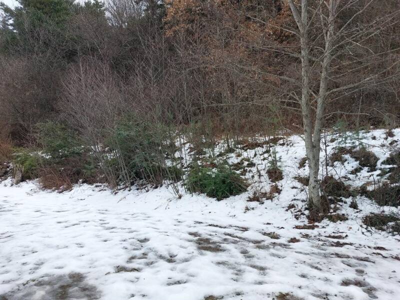 Maison à louer, 95m², SAVINES LE LAC