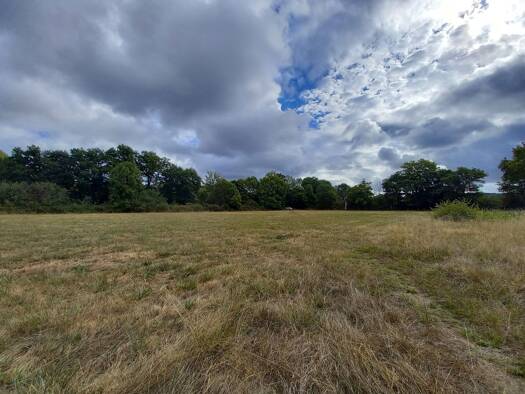 Terrain à vendre 123 000 € 11 095 m² de terrain Le Pêchereau 36200