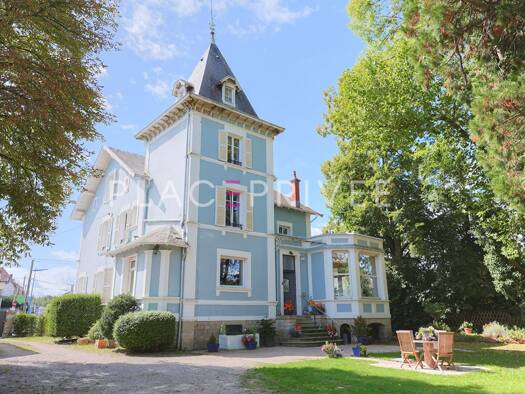 Maison à vendre 840 000 € 16 pièces 8 chambres 435 m² 3 415 m² de terrain Thaon-les-Vosges 88150