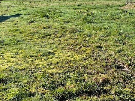 Terrain constructible à vendre 29 000 € 3 159 m² de terrain Lunas 24130