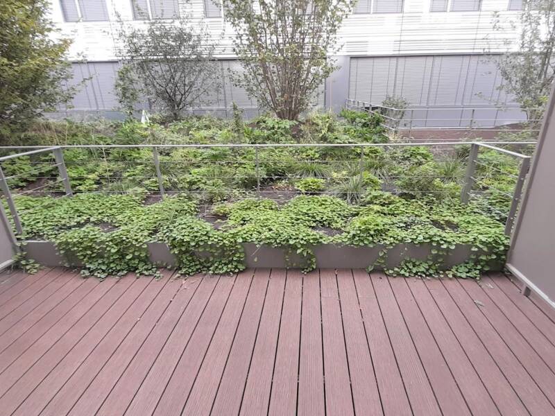 Maison à louer, 25m², ISSY LES MOULINEAUX