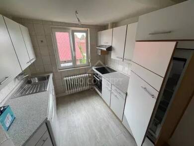 Appartement à louer 690 € 4 pièces 3 chambres 106 m² 1er étage Hatten 67690