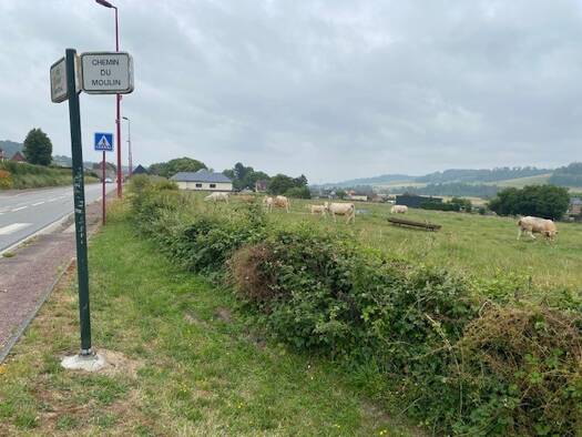 Terrain constructible viabilisé à vendre 47 500 € 635 m² de terrain Sauchay 76630