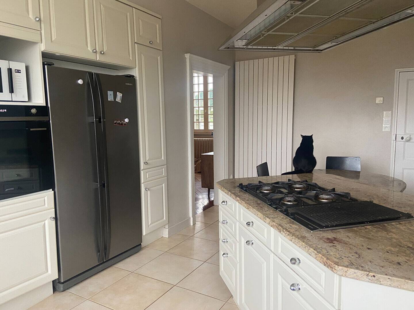 Maison à vendre, 220m², LOUVIGNE DE BAIS