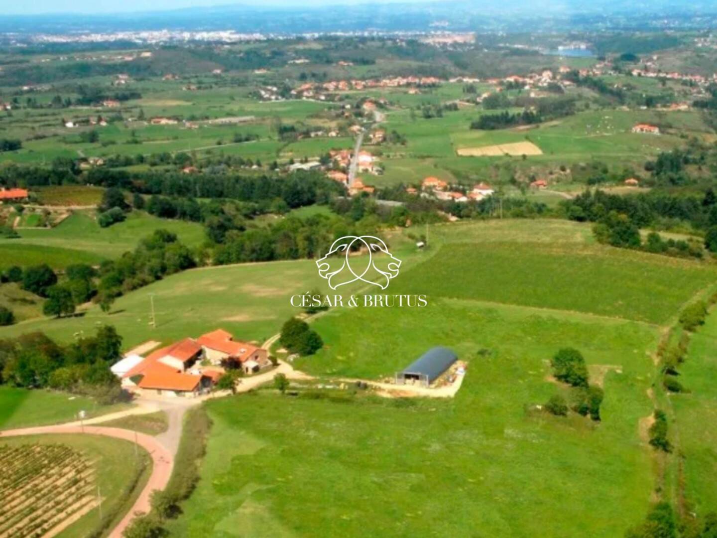 Maison à vendre, 750m², SAINT JEAN SAINT MAURICE SUR LOIRE