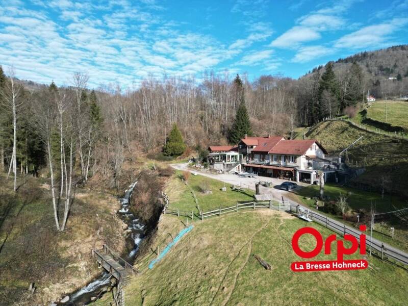 Maison à vendre, 750m², SAULXURES SUR MOSELOTTE