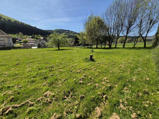 Terrain à vendre 45 000 € 799 m² de terrain Colroy-la-Roche 67420