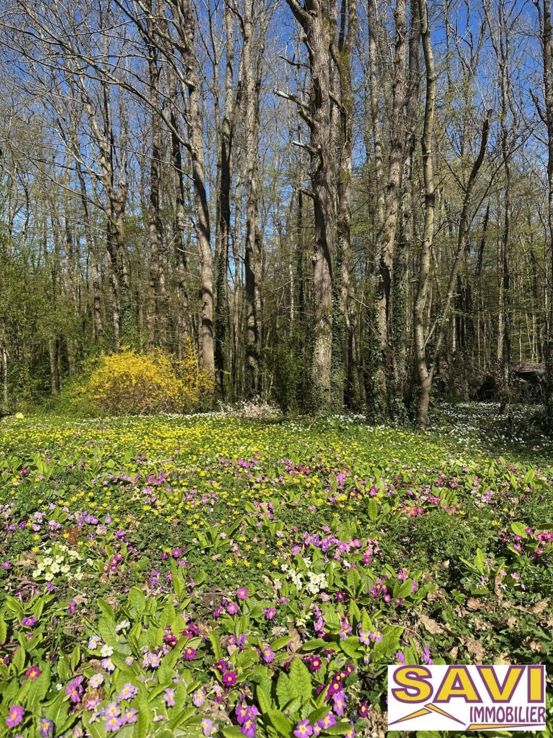 Maison à vendre, 153m², FERRIERES EN GATINAIS