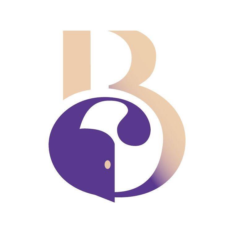 BELLE MAISON IMMOBILIER