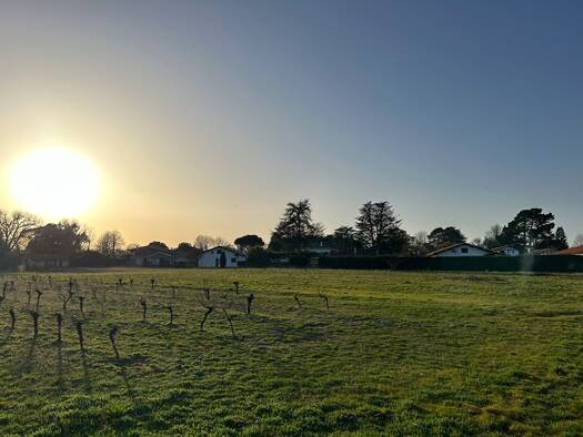 Terrain à vendre 540 000 € 946 m² de terrain Seignosse 40510