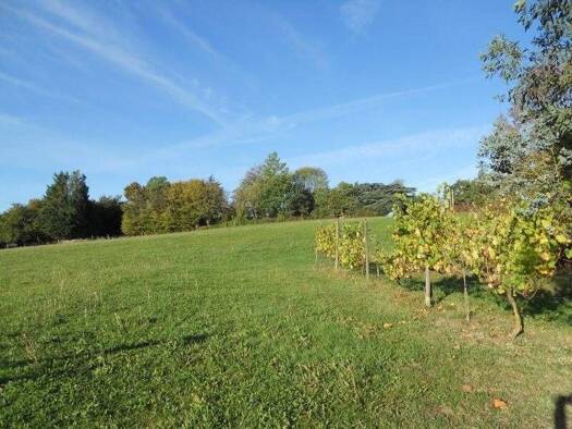 Maison de plain-pied à vendre 254 880 € 4 pièces 3 chambres 127 m² 30 000 m² de terrain Aux-Aussat 32170