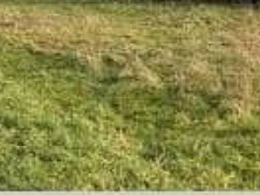 Terrain constructible viabilisé à vendre 57 000 € 473 m² de terrain Amagney 25220