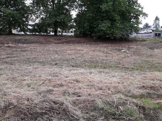 Terrain constructible à vendre 58 480 € 731 m² de terrain Centre-La Petite Forêt Forbach 57600
