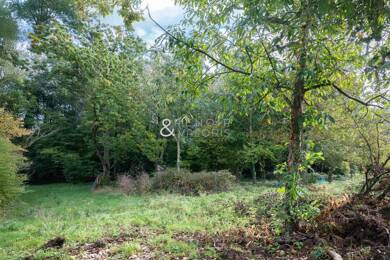 Terrain viabilisé à vendre 69 000 € 700 m² de terrain Saint-Nicolas-de-Port 54210