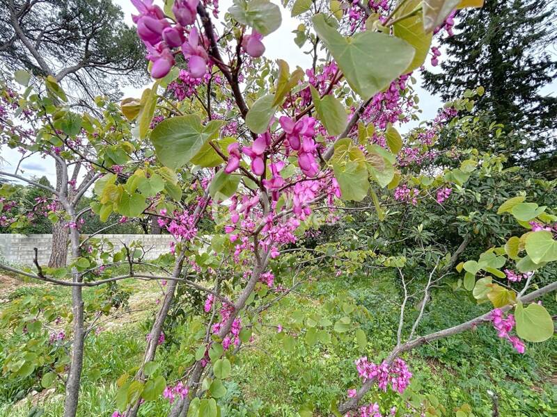 Maison à vendre, 157m², MONTPELLIER