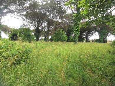 Terrain constructible à vendre 53 200 € 700 m² de terrain Saint-Maixant 33490