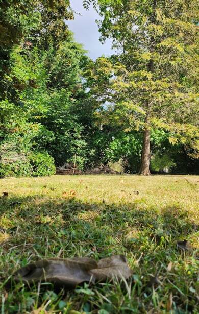 Terrain constructible à vendre 199 000 € 511 m² de terrain Grobois-Mare Armee-Sabliere Yerres 91330