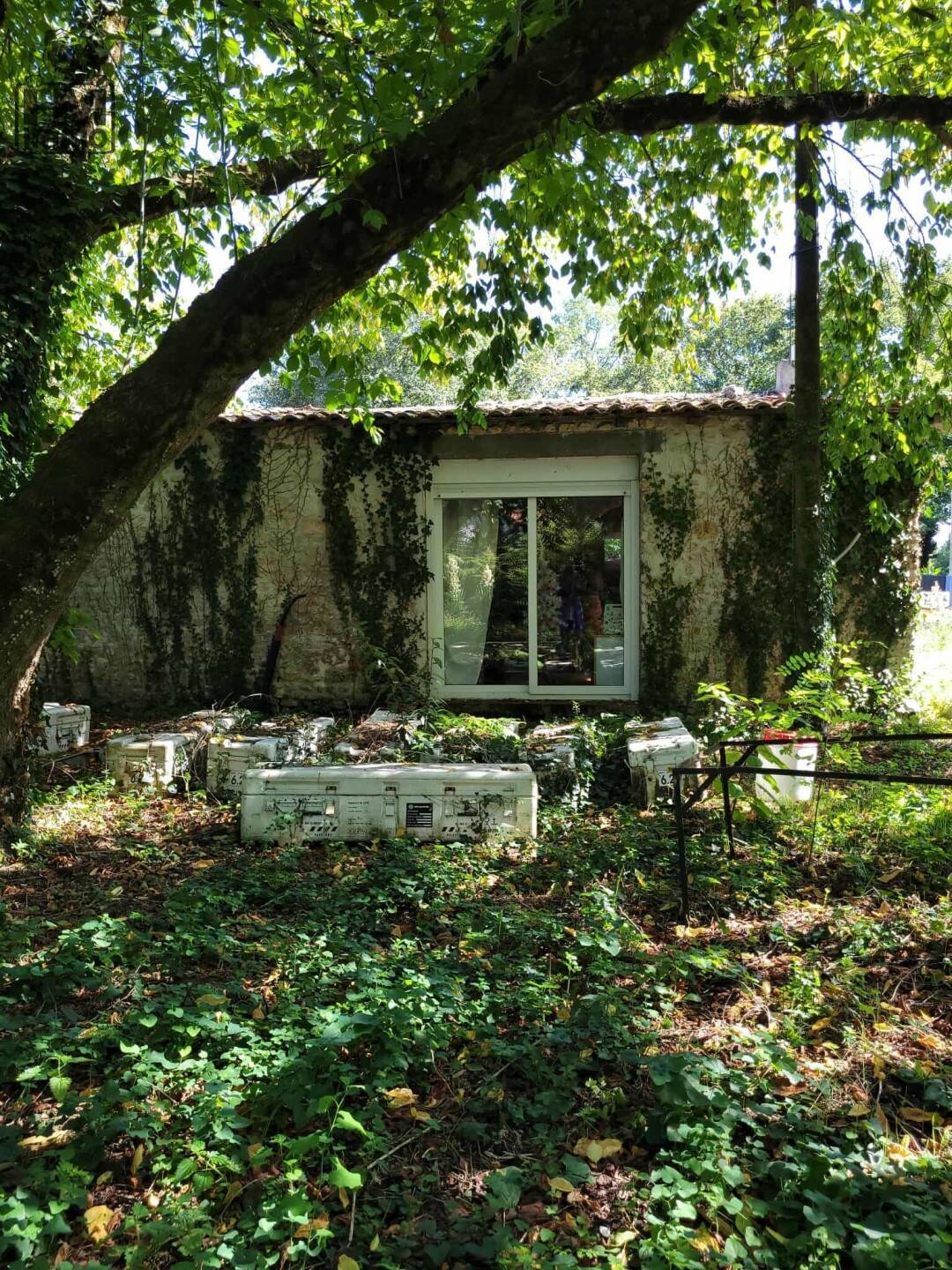 Maison à vendre, 100m², SAINT JUST LUZAC