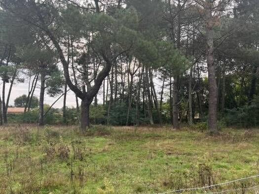 Terrain constructible viabilisé à vendre 214 000 € 560 m² de terrain Saint-Aubin-de-Médoc 33160