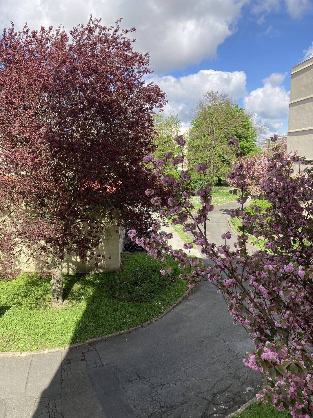Maison à louer, 51m², RUEIL MALMAISON