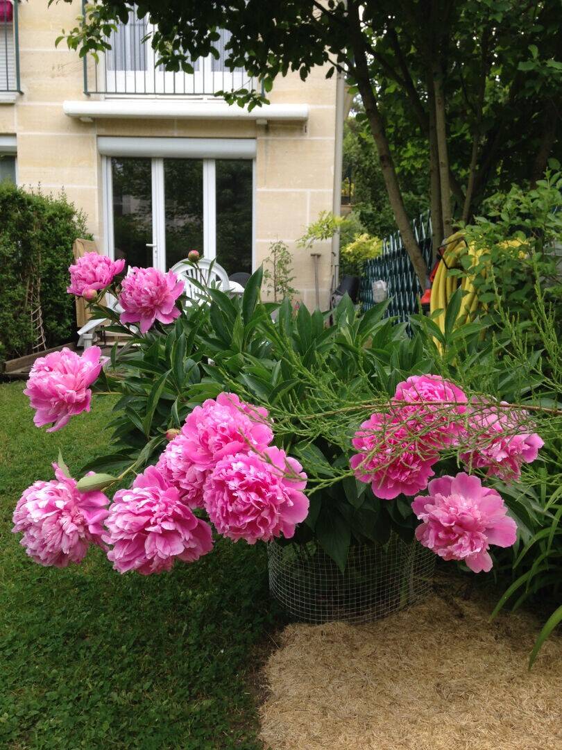 Maison à vendre, 70m², MAISONS LAFFITTE