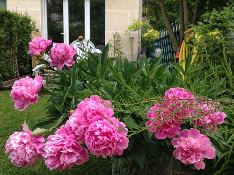 Maison à vendre, 70m², MAISONS LAFFITTE