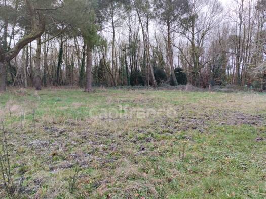 Terrain constructible viabilisé à vendre 209 548 € 555 m² de terrain Saint-Aubin-de-Médoc 33160