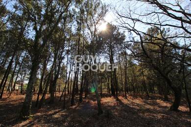 Terrain constructible à vendre 800 000 € 2 352 m² de terrain Seignosse 40510